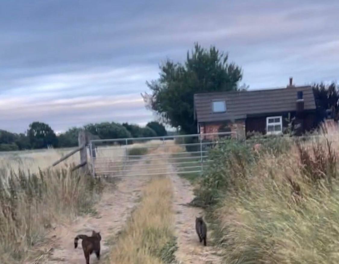 Lincoln Holiday Retreat Little House With Private Hot Tub エクステリア 写真